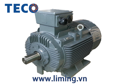 Motor TECO AESV 4P 5.5HP