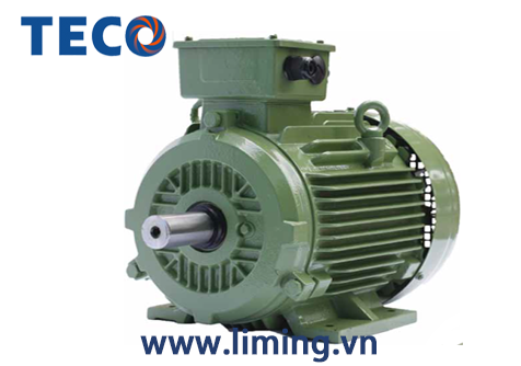 Motor TECO AESV3S IE3