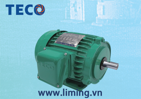 MOTOR TECO CHÔNG CHÁY NỔ